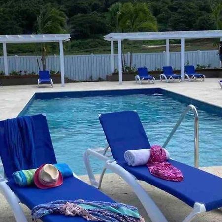 Natty'S Cozy Beach House In Hanover Jamaica Lucea Luaran gambar