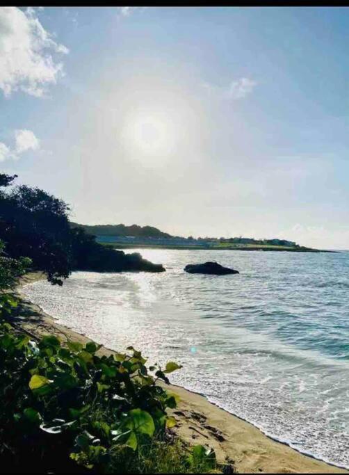 Natty'S Cozy Beach House In Hanover Jamaica Lucea Luaran gambar