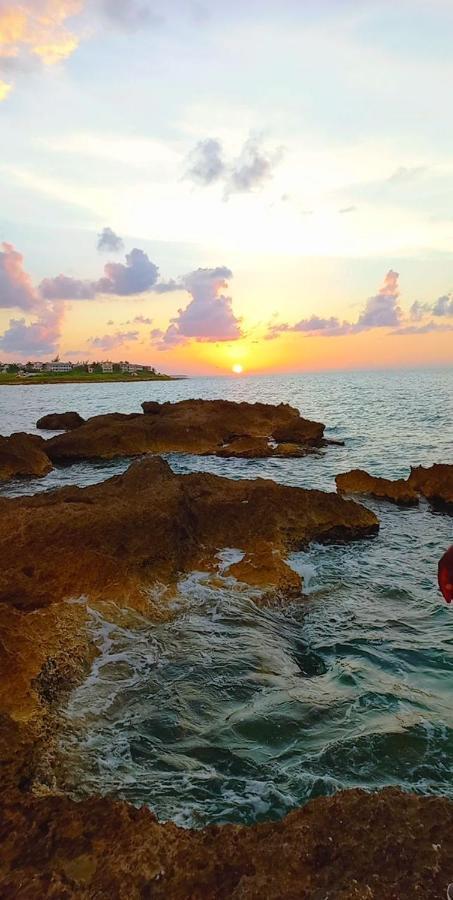 Natty'S Cozy Beach House In Hanover Jamaica Lucea Luaran gambar